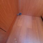 2009 beneteau oceanis 45 sail 9667137 20250128124432277 1 XLARGE 150x150