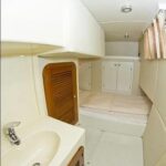 2013 adagio 515 europa power 9365611 20240425141526137 1 XLARGE 150x150