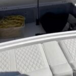 2023 ribco venom 34 power 9399056 20240521055428562 1 XLARGE 150x150