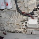 8035871 20211011041901772 1 XLARGE 150x150