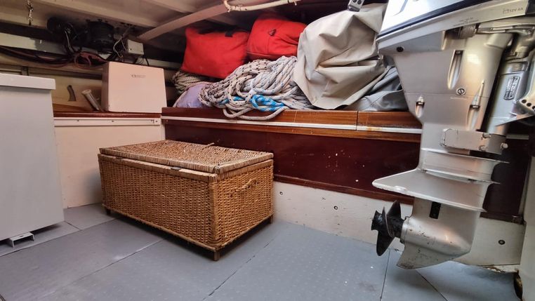 8035871 20220318022005891 1 XLARGE