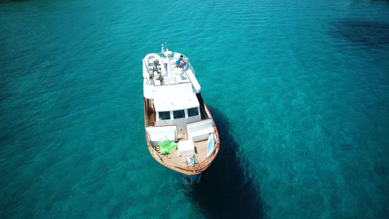 9231791 20240208132158879 1 XLARGE