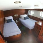 9231791 20240208132256454 1 XLARGE 150x150