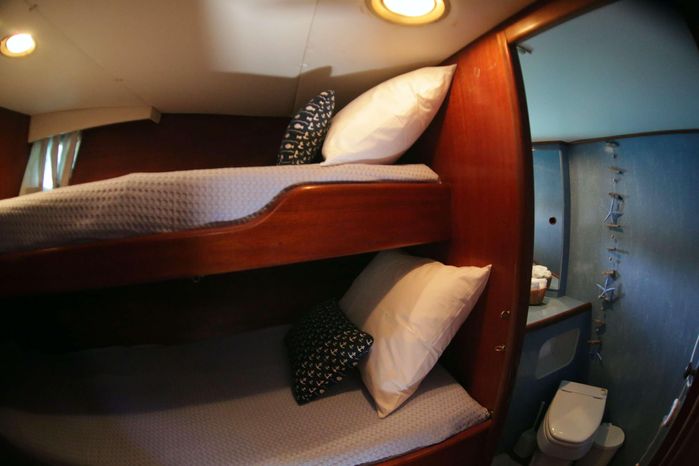 9231791 20240208132348219 1 XLARGE