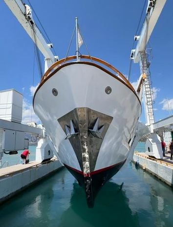 9231791 20240208135928901 1 XLARGE