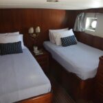 9231791 20240216031819584 1 XLARGE 150x150