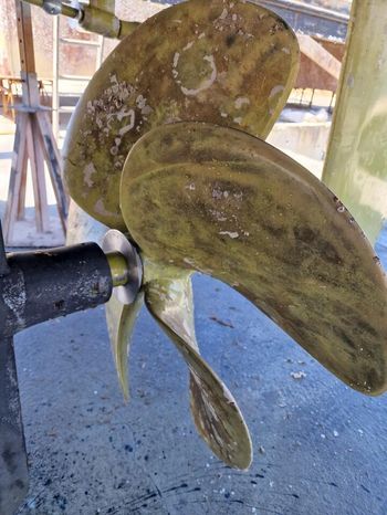 9331193 20240406092216881 1 XLARGE